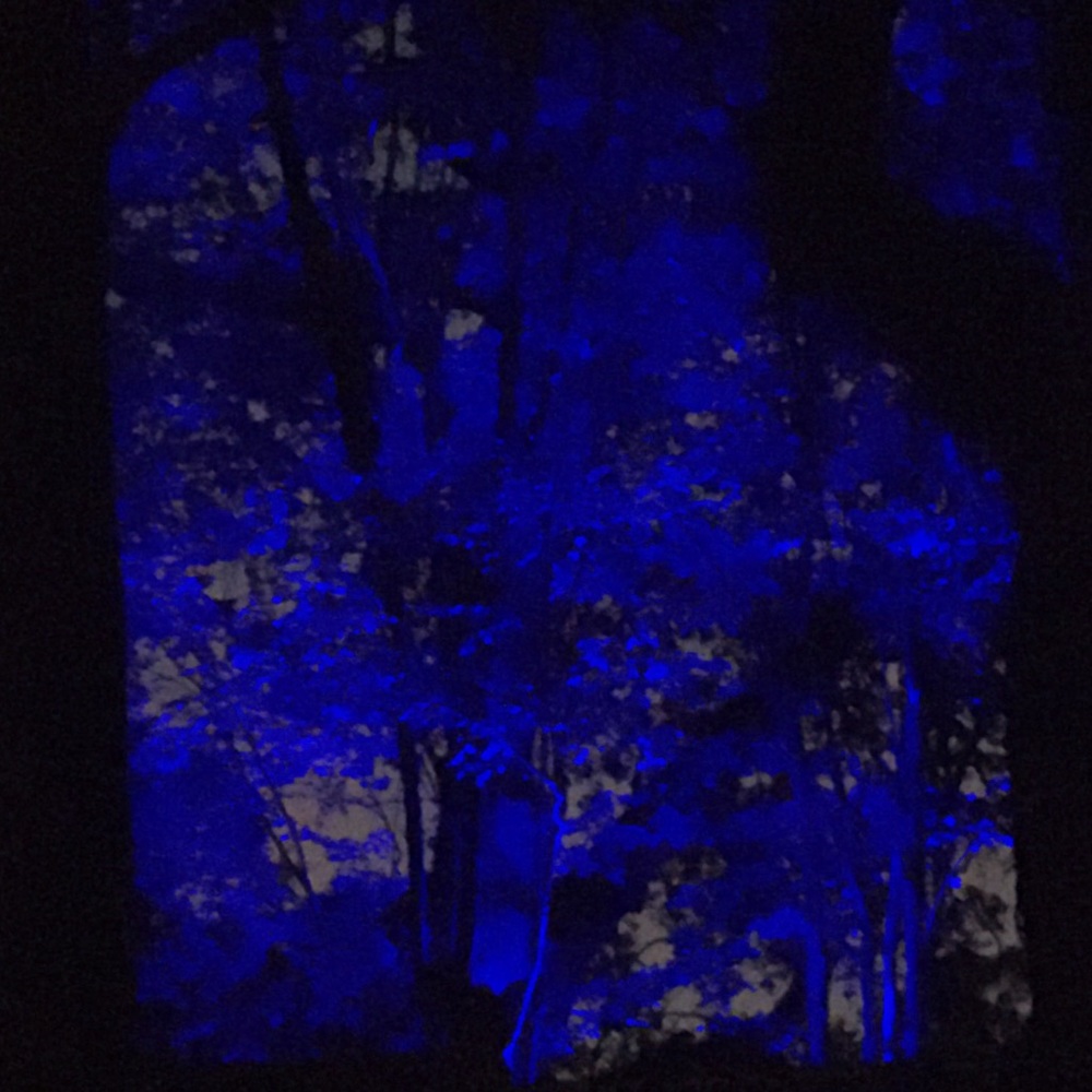 Meet your Posher, Ali